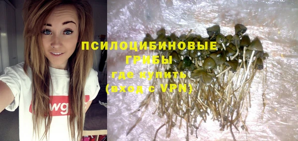стафф Нефтегорск